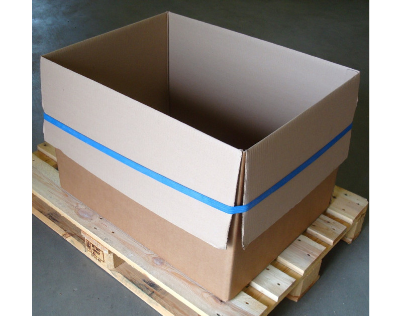 Bracelets élastiques pour palettes Bracelets élastiques pour palettes